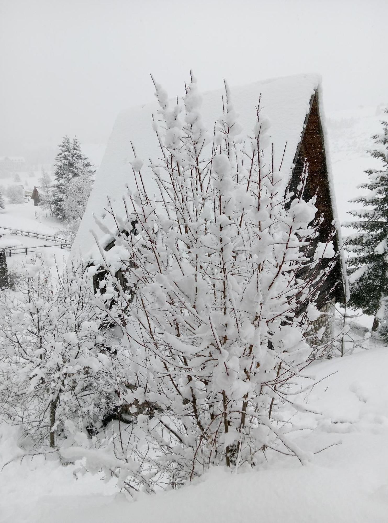 Ferienwohnung Durmitor Žabljak Exterior foto