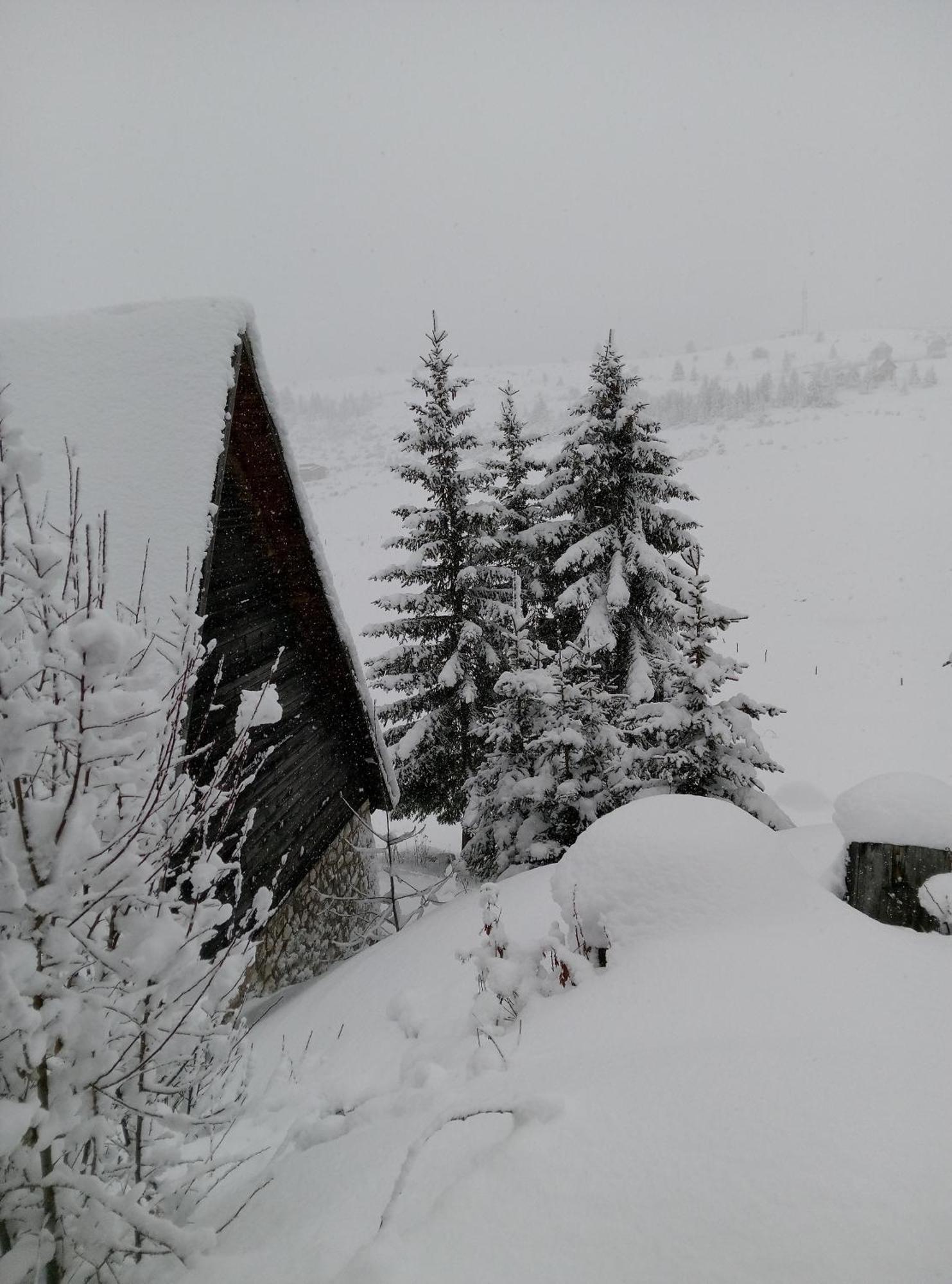 Ferienwohnung Durmitor Žabljak Exterior foto
