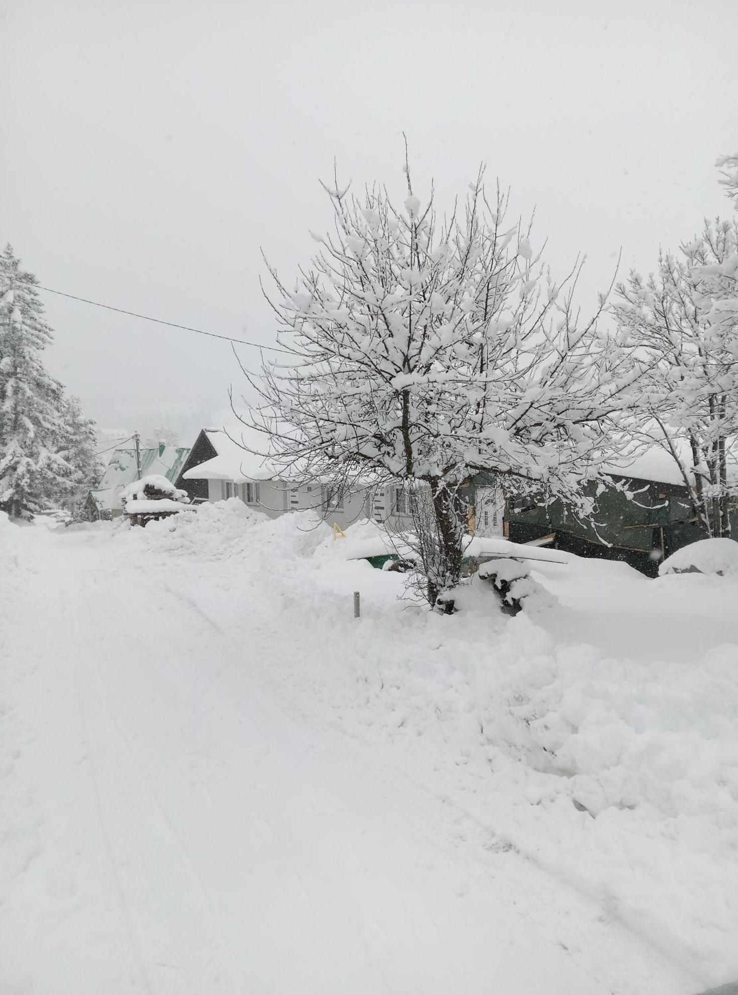 Ferienwohnung Durmitor Žabljak Exterior foto