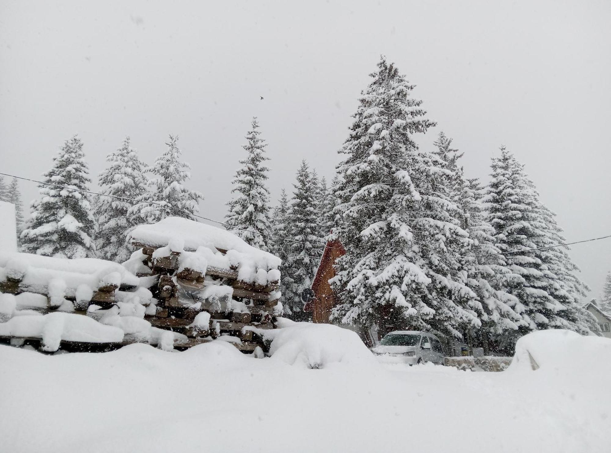 Ferienwohnung Durmitor Žabljak Exterior foto